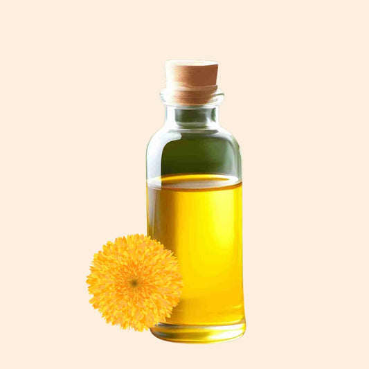 Borage Herbal Liquid Extract