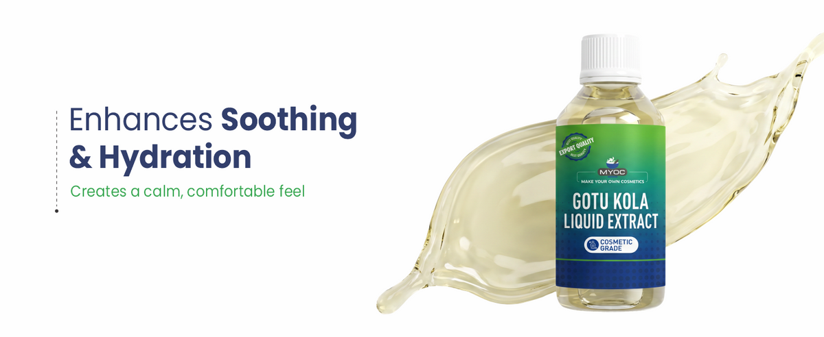 Gotu Kola Herbal Liquid Extract