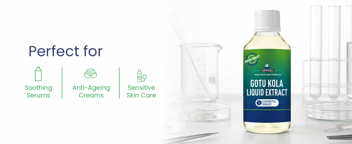 Gotu Kola Herbal Liquid Extract