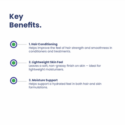Hydrolyzed Rice Protein