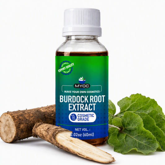 Burdock root extract cosmetic grade 60 ml bottle with roots