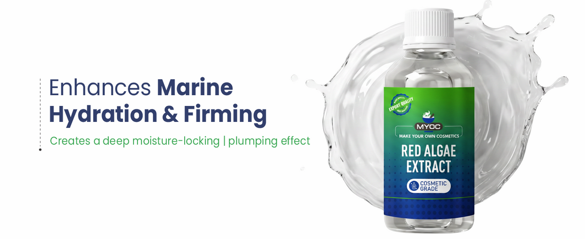 Red Algae Herbal Liquid Extract