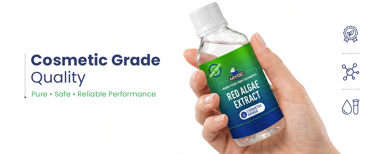 Red Algae Herbal Liquid Extract
