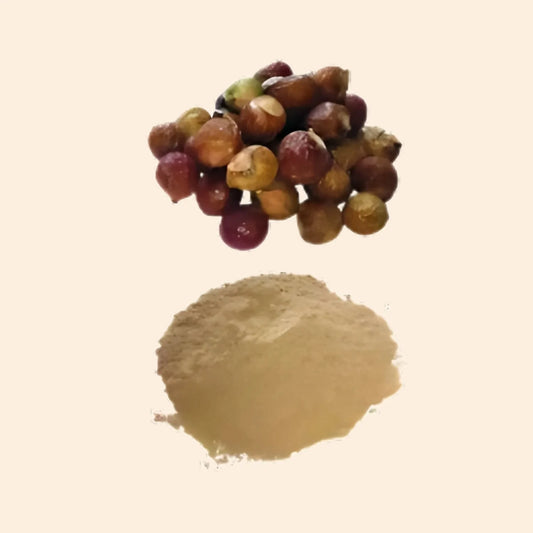 Ritha Dry Extract