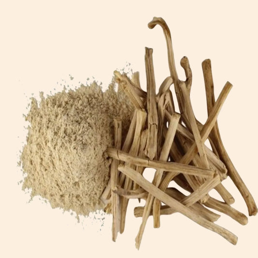 Shatavari Dry Extract