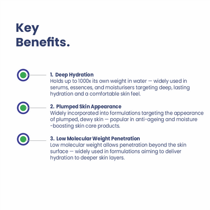 Sodium Hyaluronate Powder