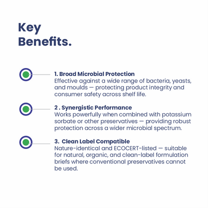 Sodium Benzoate Powder